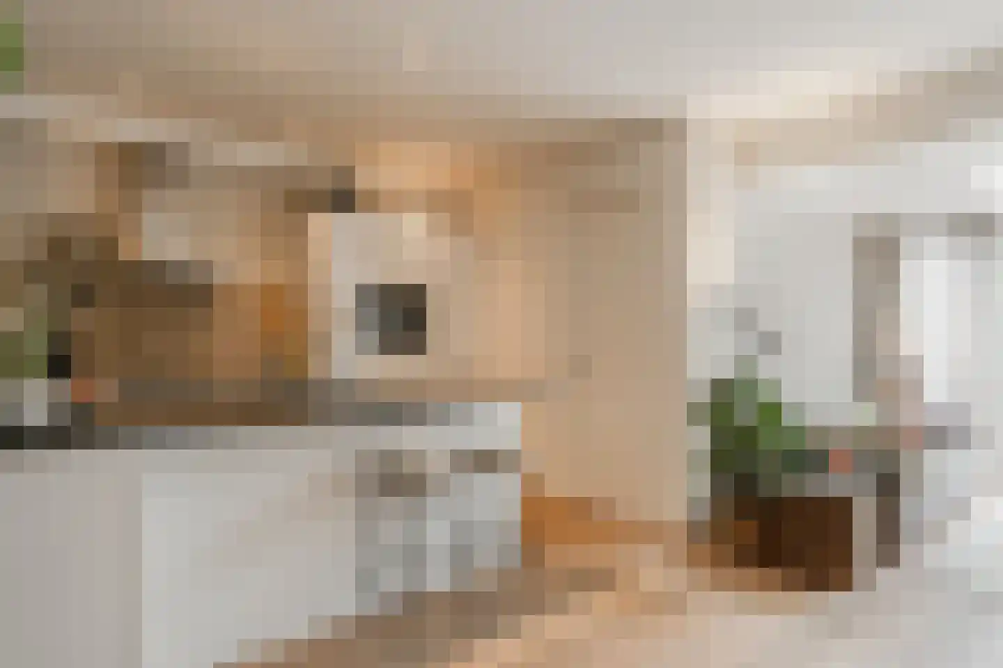 Hectorstraat 28 2 Amsterdam thumbnail 15