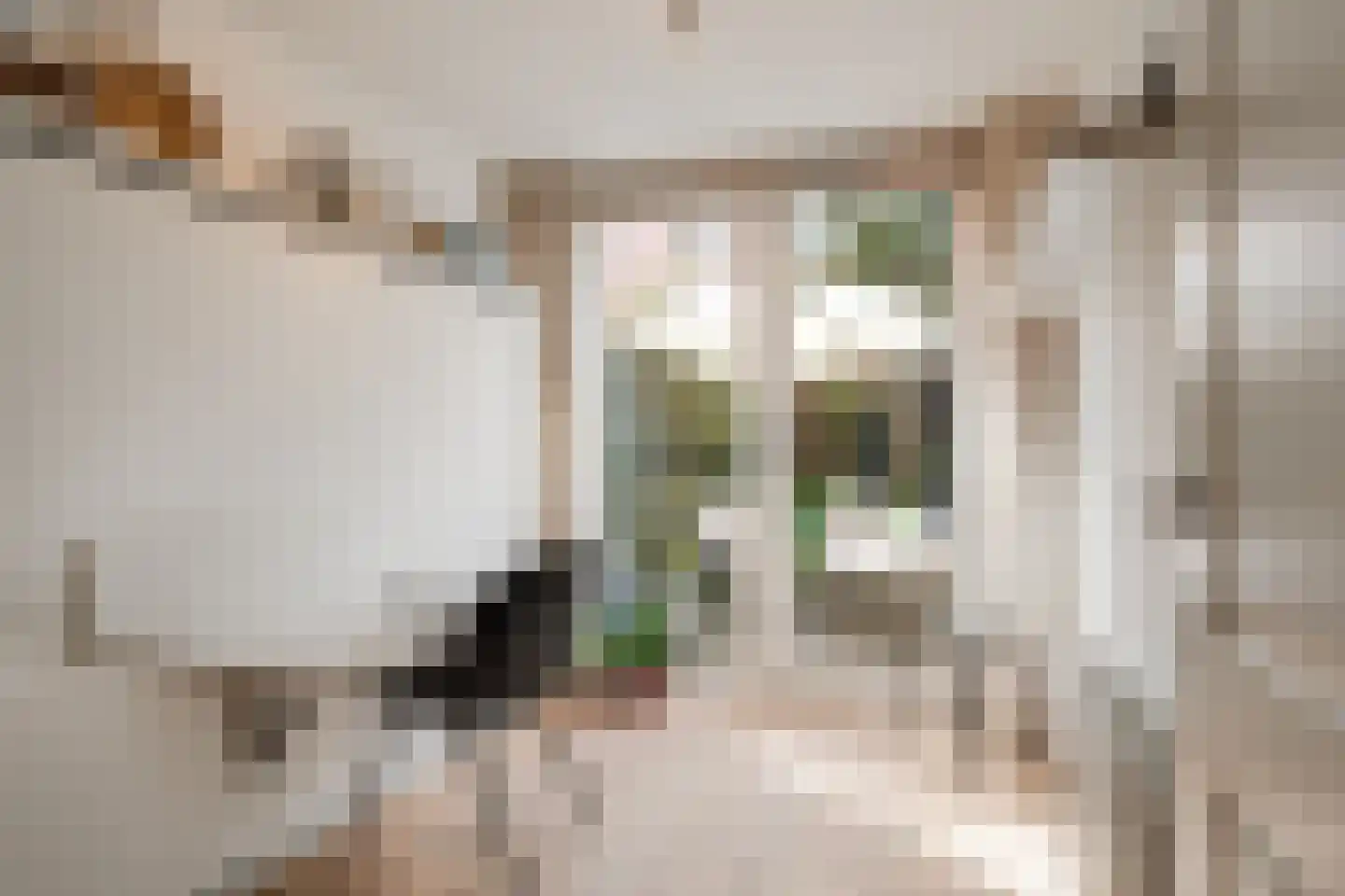 Hectorstraat 28 2 Amsterdam thumbnail 25