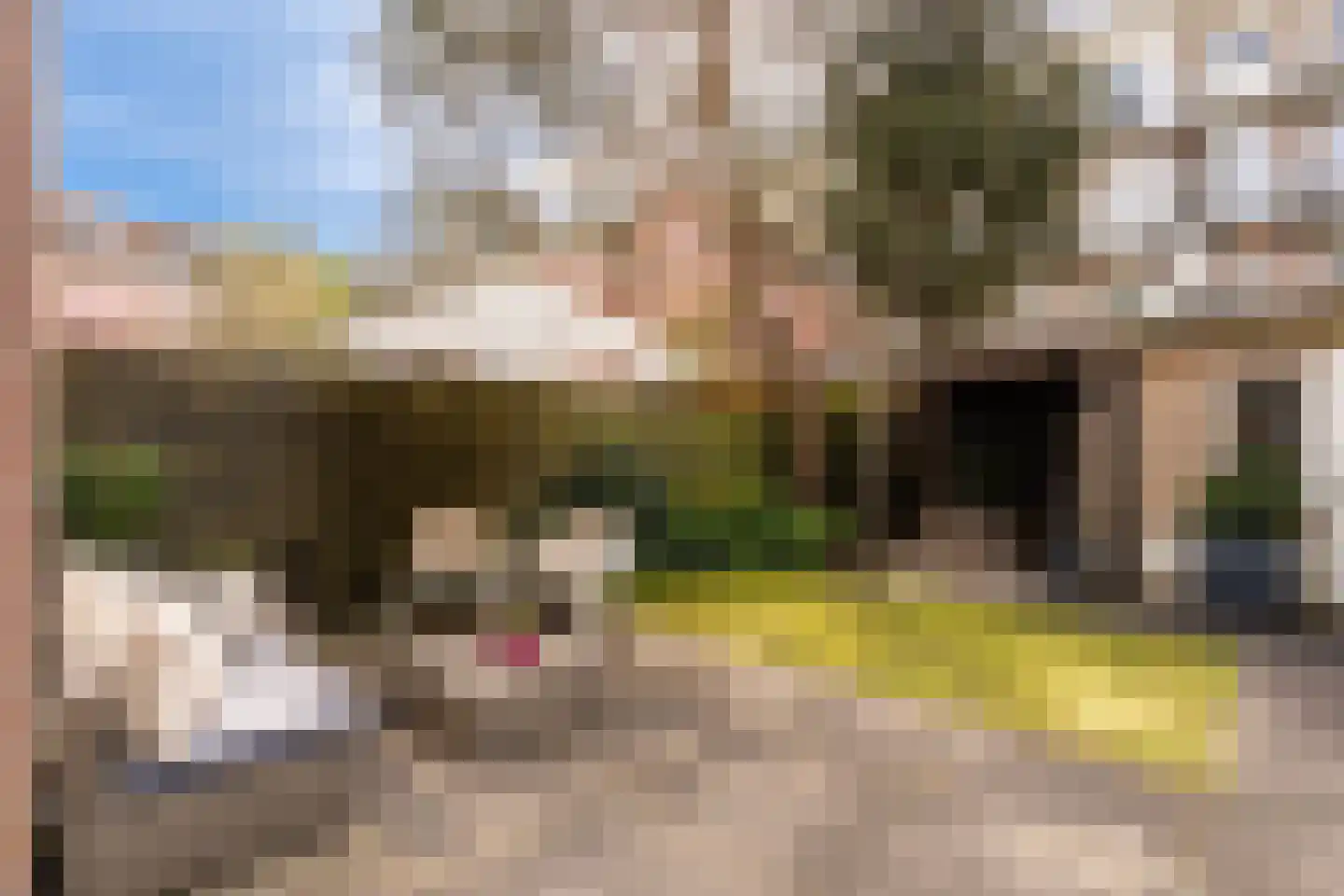 Hectorstraat 28 H Amsterdam thumbnail 30