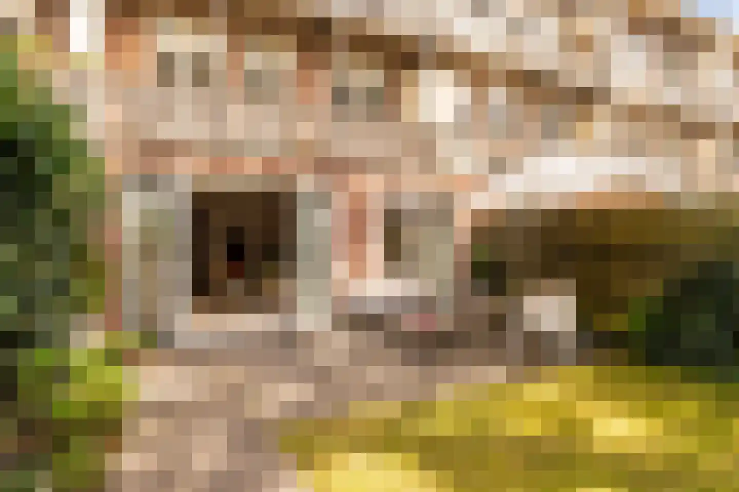 Hectorstraat 28 H Amsterdam thumbnail 31