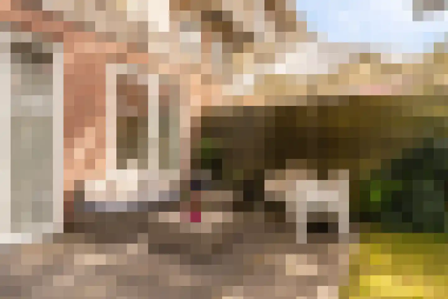 Hectorstraat 28 H Amsterdam thumbnail 32