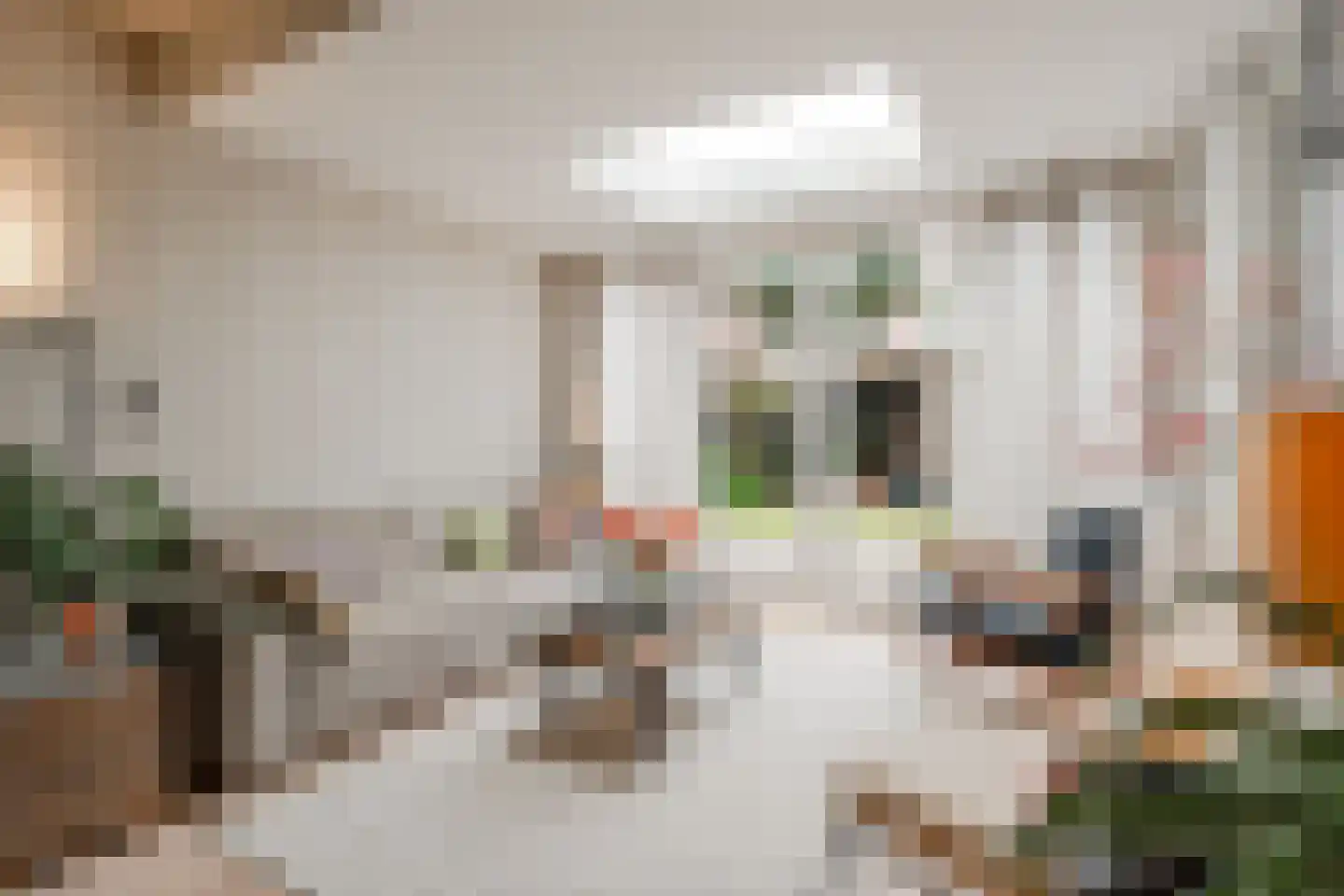 Hectorstraat 28 H Amsterdam thumbnail 7