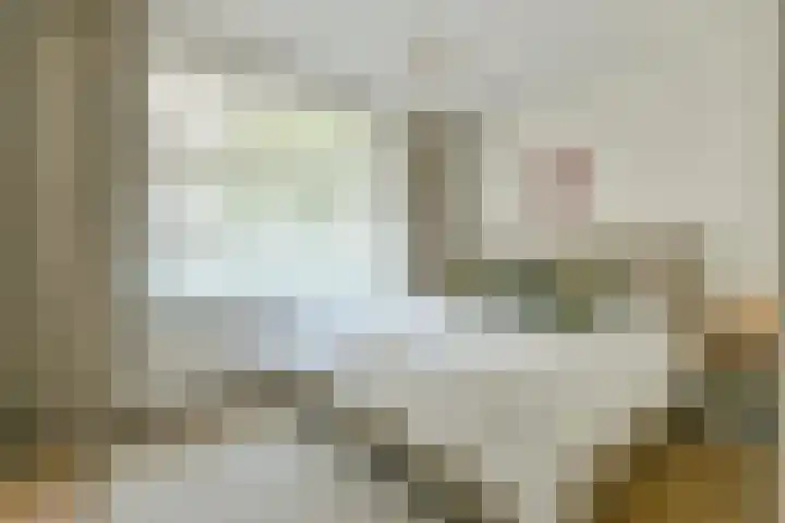 Hectorstraat 7 1 Amsterdam thumbnail 15