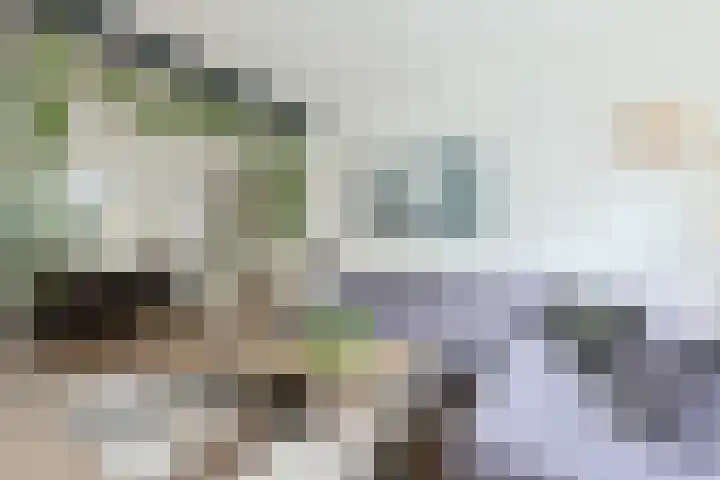 Hedastraat 12 Alphen aan den Rijn thumbnail 10