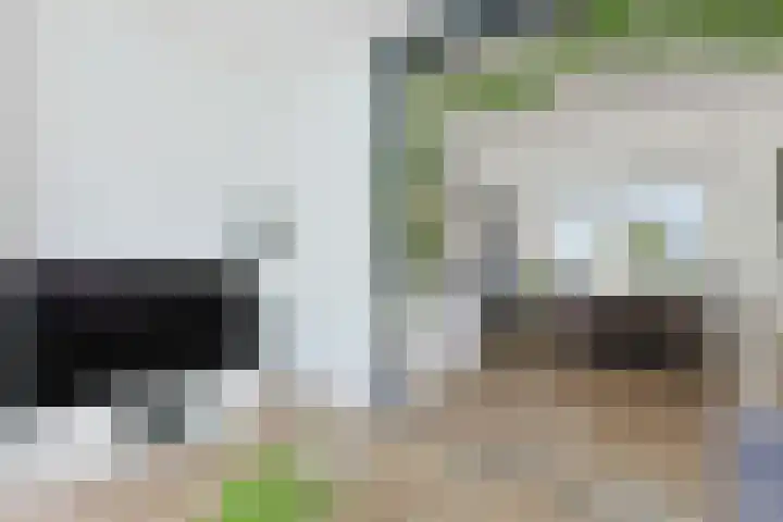 Hedastraat 12 Alphen aan den Rijn thumbnail 11