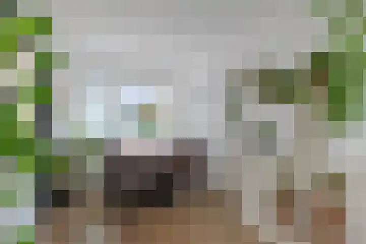 Hedastraat 12 Alphen aan den Rijn thumbnail 13