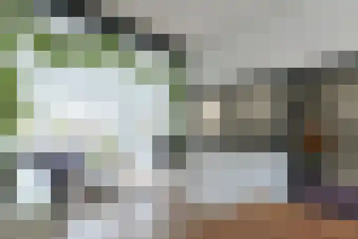 Hedastraat 12 Alphen aan den Rijn thumbnail 15