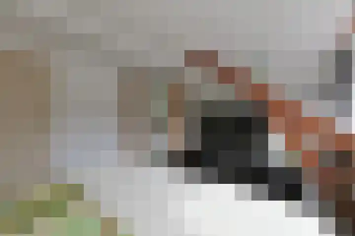 Hedastraat 12 Alphen aan den Rijn thumbnail 26