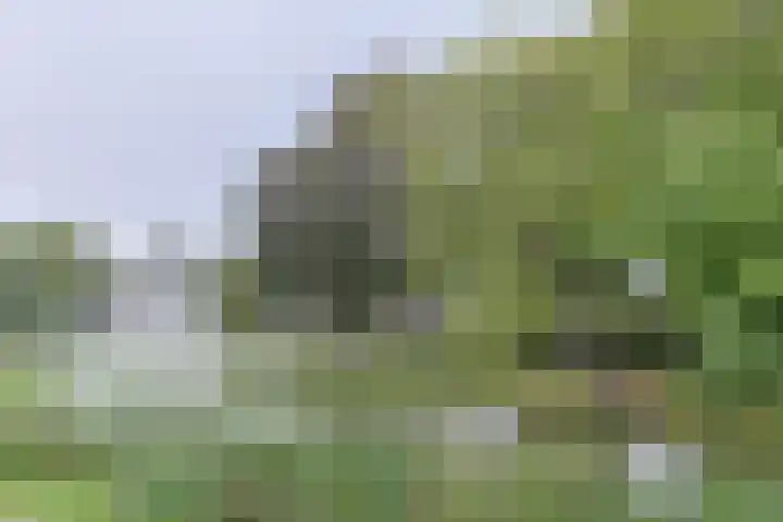 Hedastraat 12 Alphen aan den Rijn thumbnail 39