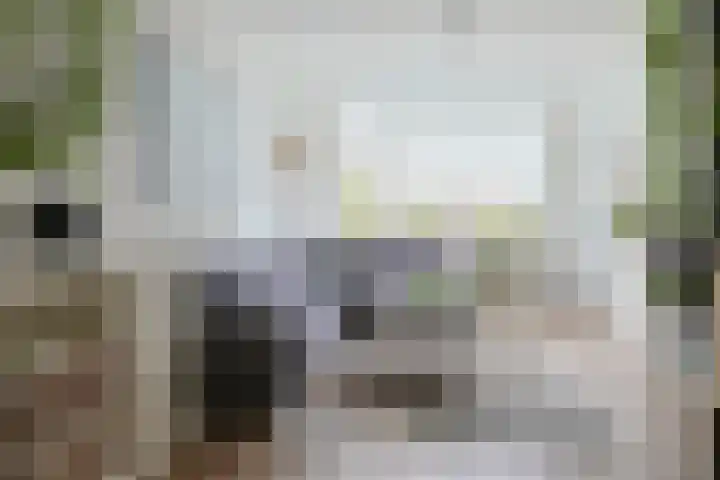 Hedastraat 12 Alphen aan den Rijn thumbnail 9