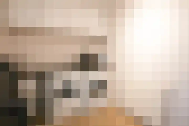 Hedelfinger 6 Eijsden thumbnail 13