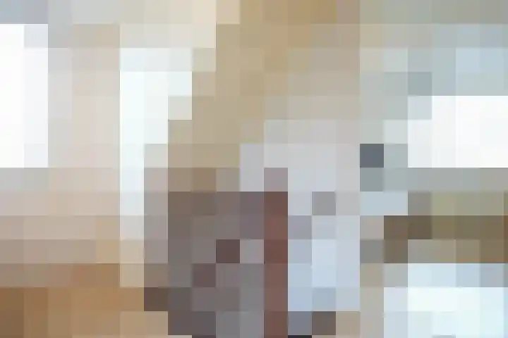 Hedelfinger 6 Eijsden thumbnail 14