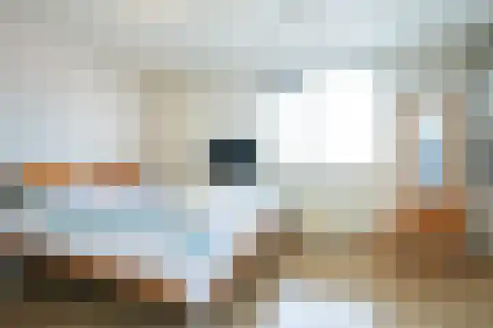 Hedelfinger 6 Eijsden thumbnail 15