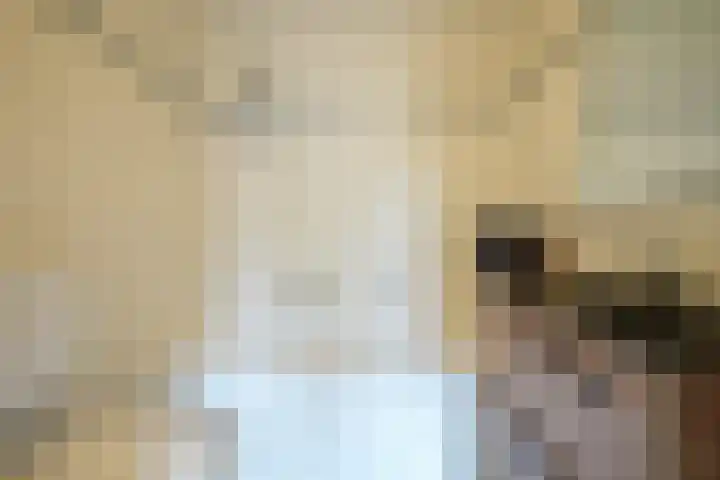Hedelfinger 6 Eijsden thumbnail 18