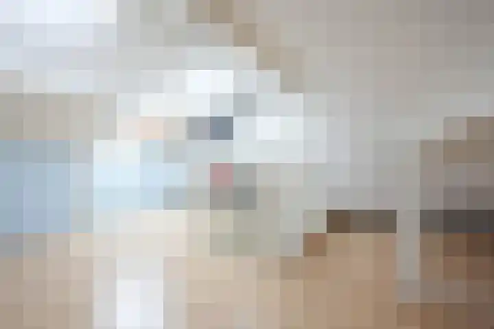 Hedelfinger 6 Eijsden thumbnail 19