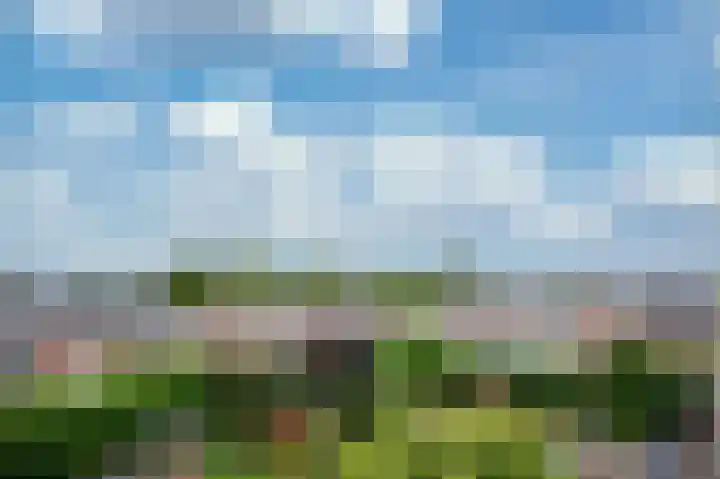 Hedelfinger 6 Eijsden thumbnail 22