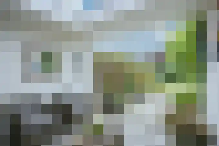 Hedelfinger 6 Eijsden thumbnail 23