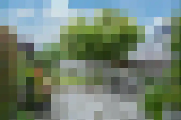 Hedelfinger 6 Eijsden thumbnail 24