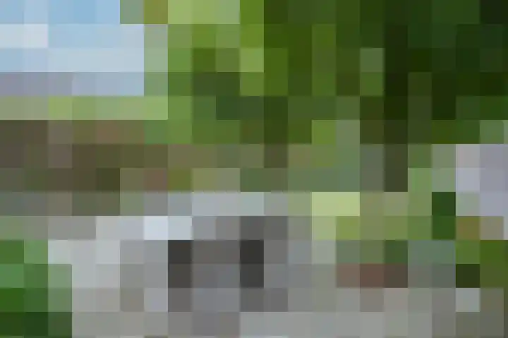 Hedelfinger 6 Eijsden thumbnail 25