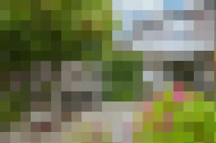 Hedelfinger 6 Eijsden thumbnail 27