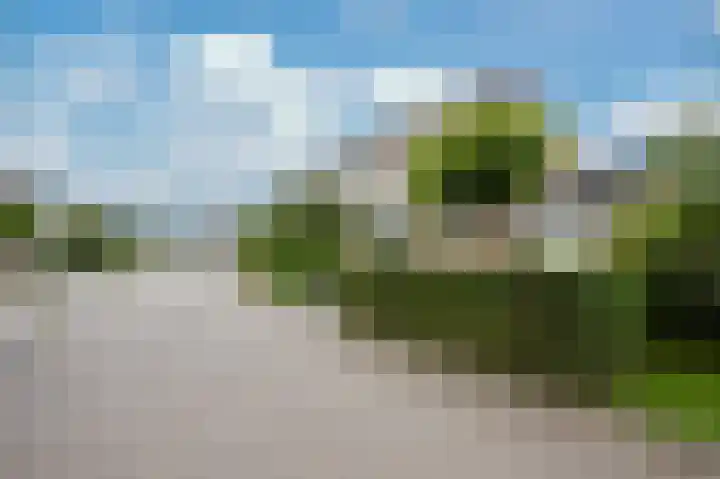 Hedelfinger 6 Eijsden thumbnail 30