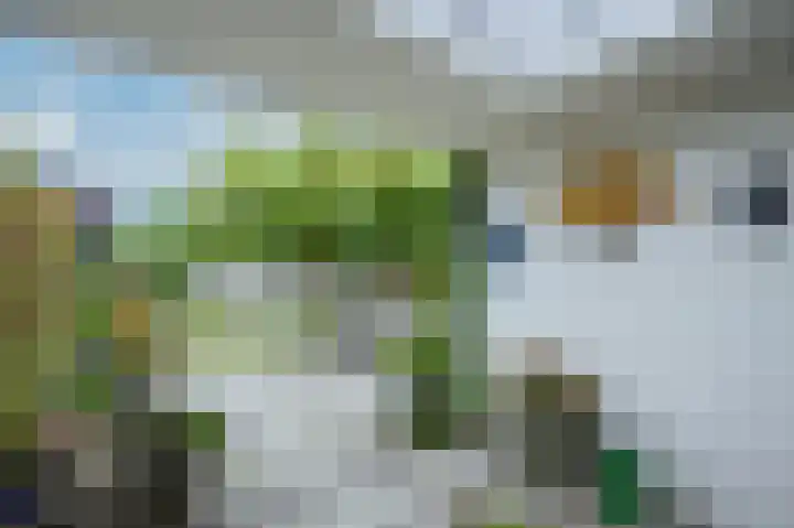 Hedelfinger 6 Eijsden thumbnail 4