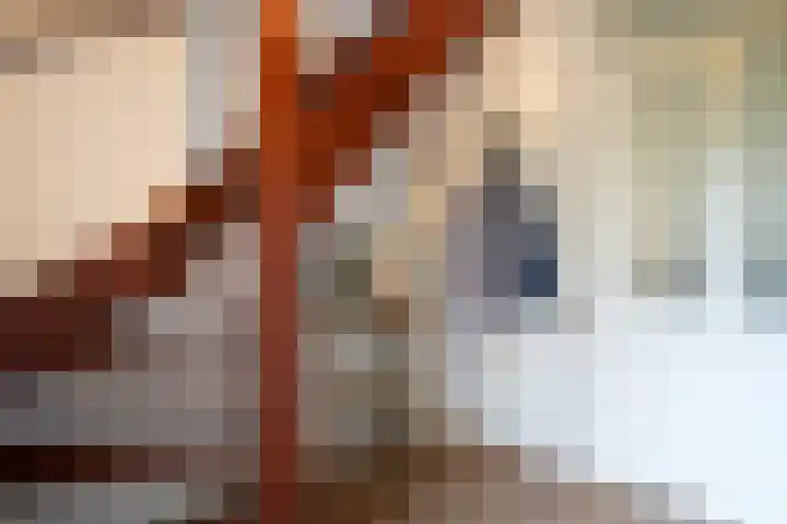 Hedelfinger 6 Eijsden thumbnail 6