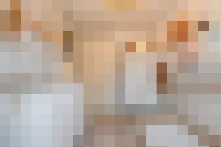 Hedeveld 32 Almelo thumbnail 30