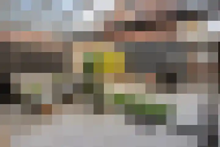 Hedeveld 32 Almelo thumbnail 44