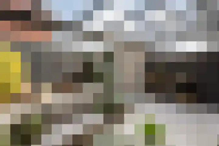 Hedeveld 32 Almelo thumbnail 45
