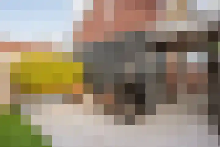 Hedeveld 32 Almelo thumbnail 46