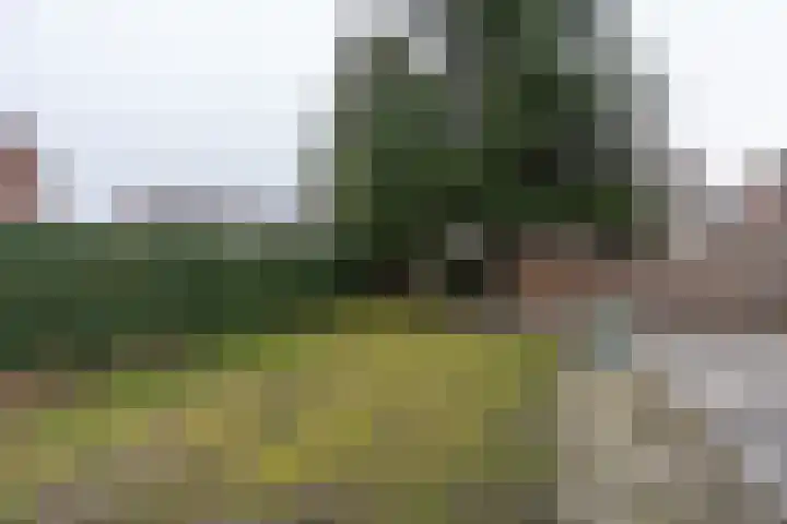 Hedillapad 1 Hedel thumbnail 27