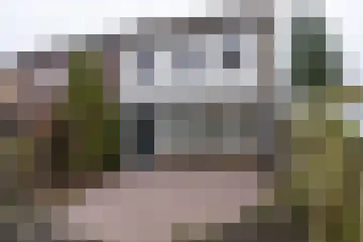 Hedillapad 1 Hedel thumbnail 31