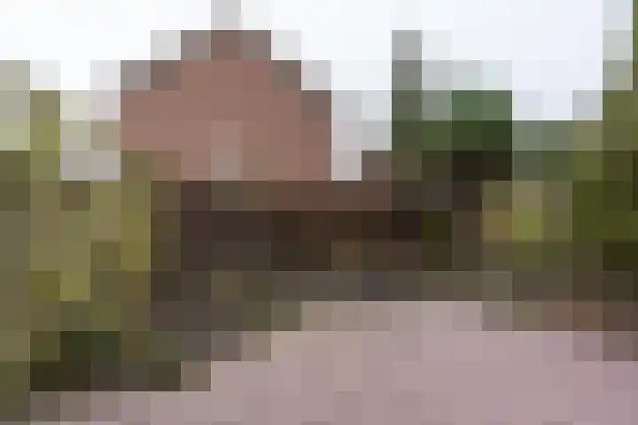 Hedillapad 1 Hedel thumbnail 33