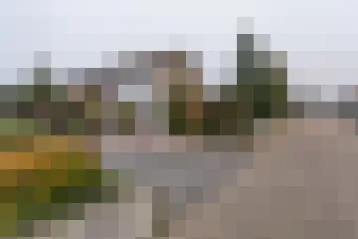 Hedillapad 1 Hedel thumbnail 34