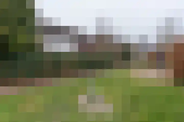Hedillapad 1 Hedel thumbnail 36