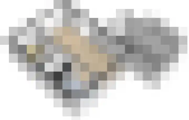 Hedillapad 1 Hedel thumbnail 41