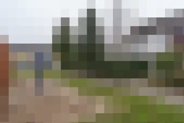 Hedillapad 1 Hedel thumbnail 6