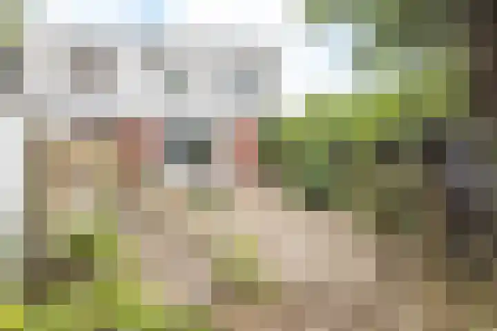 Hedinstraat 25 Heerlen thumbnail 16