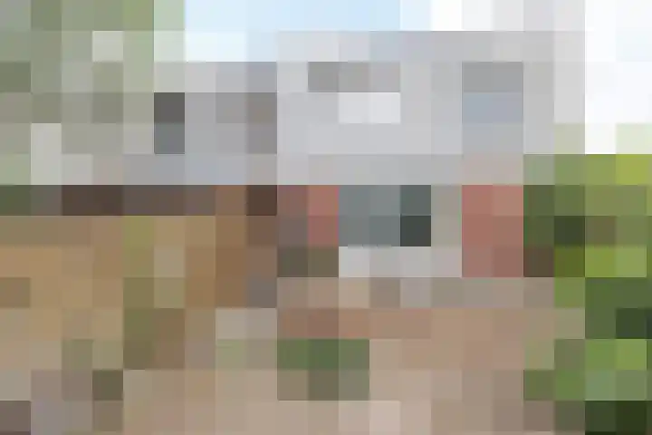 Hedinstraat 25 Heerlen thumbnail 17
