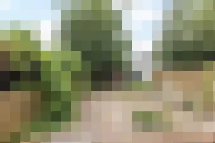Hedinstraat 25 Heerlen thumbnail 18