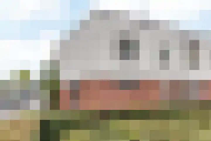 Hedinstraat 25 Heerlen thumbnail 20