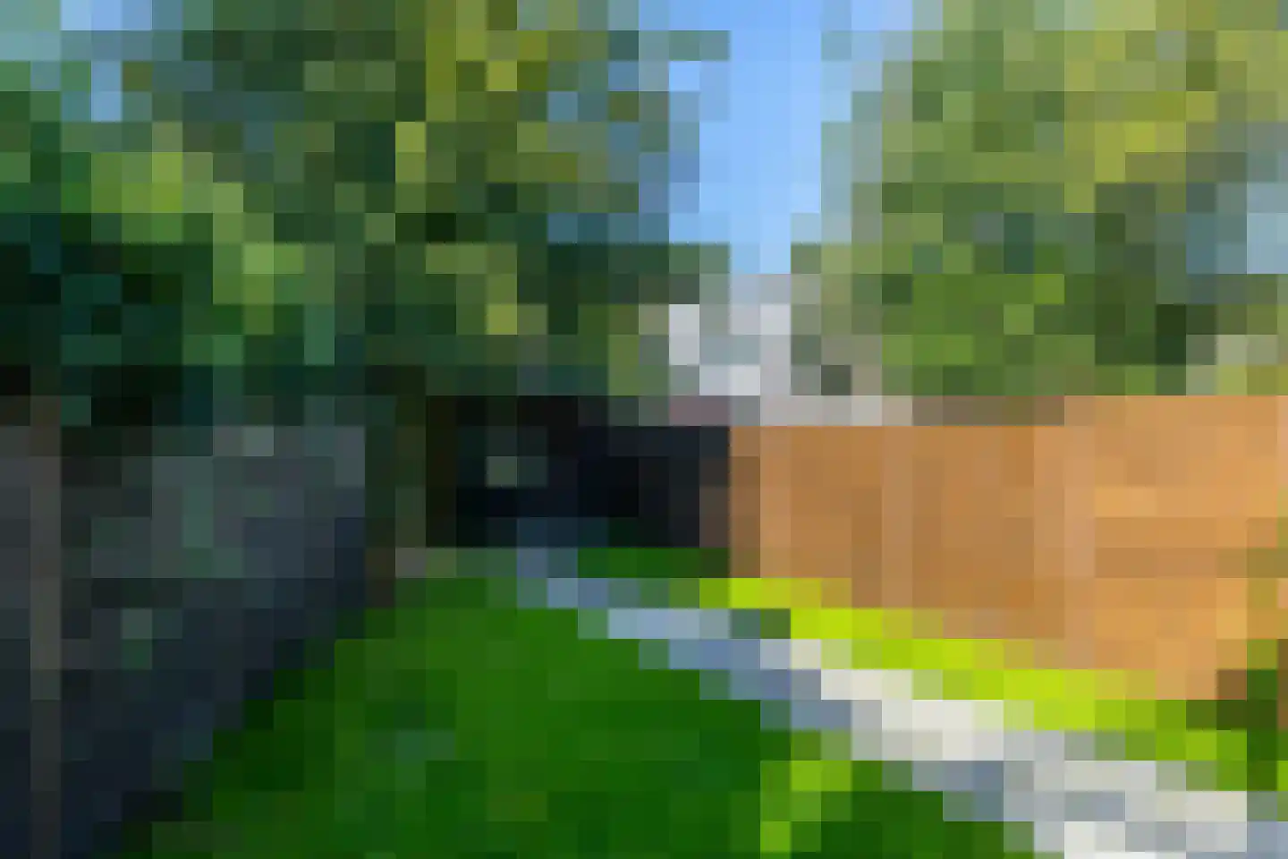 Hedinstraat 25 Heerlen thumbnail 4