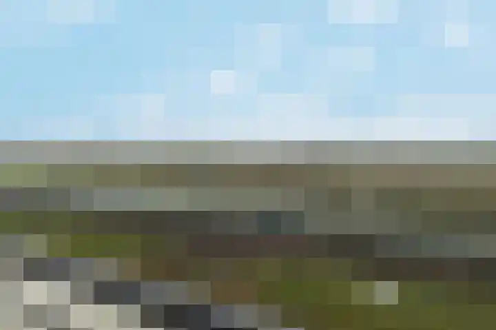 Hedwigepolder 132 Barendrecht thumbnail 33