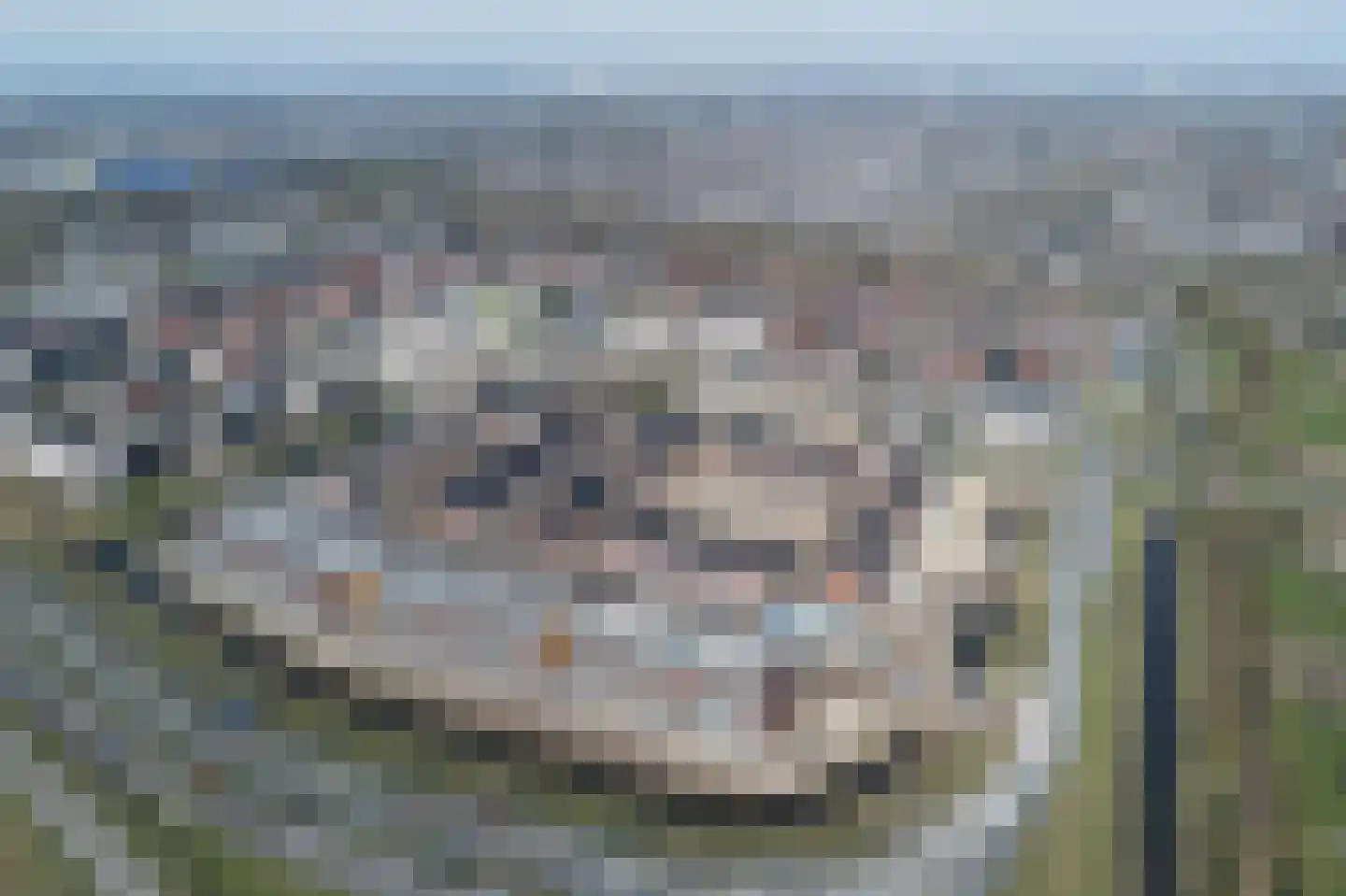 Hedwigepolder 132 Barendrecht thumbnail 5