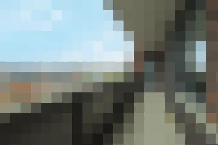 Hedwigepolder 132 Barendrecht thumbnail 7