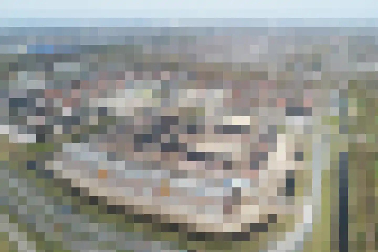 Hedwigepolder 47 Barendrecht thumbnail 29