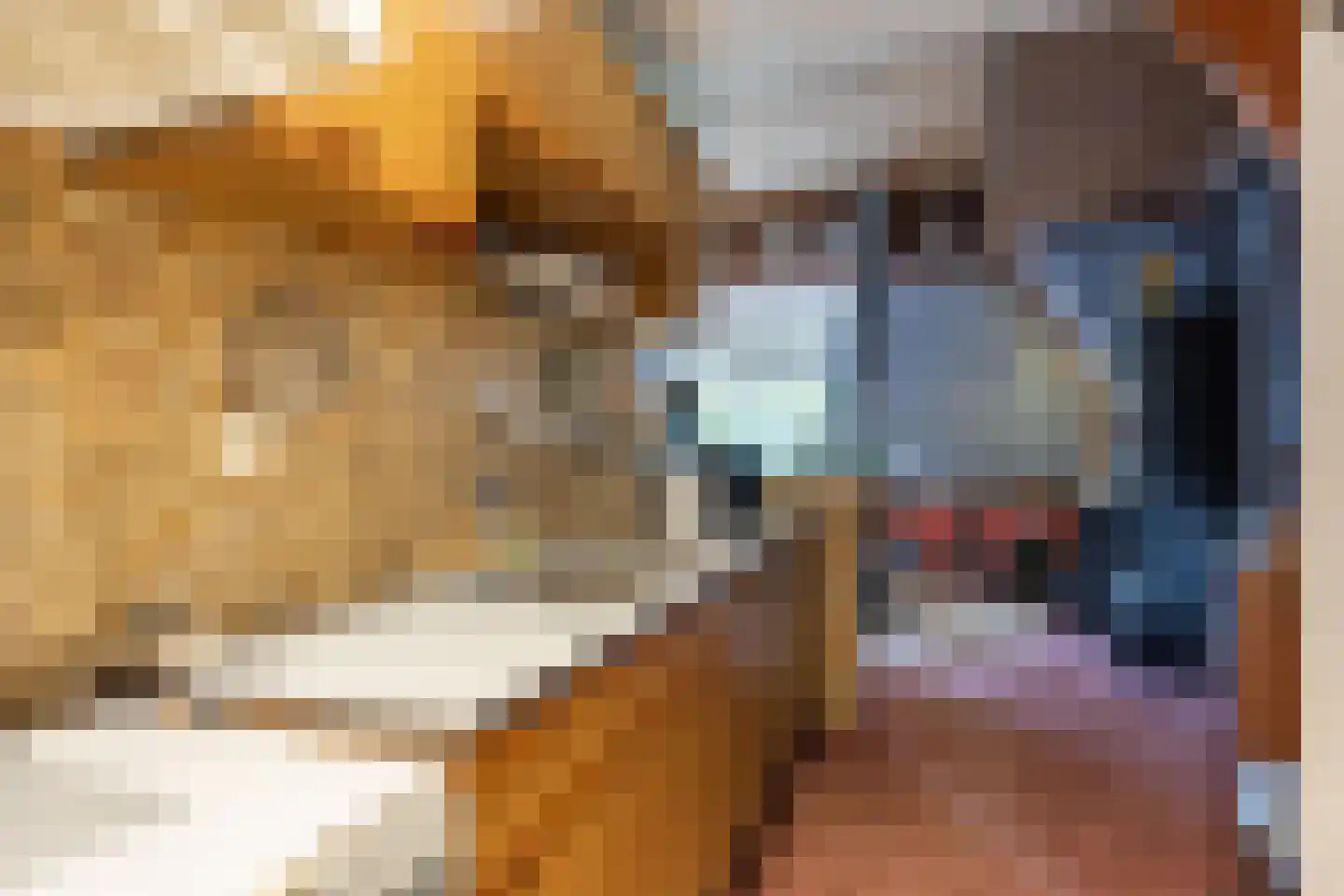 Heechein 12 Akkrum thumbnail 17