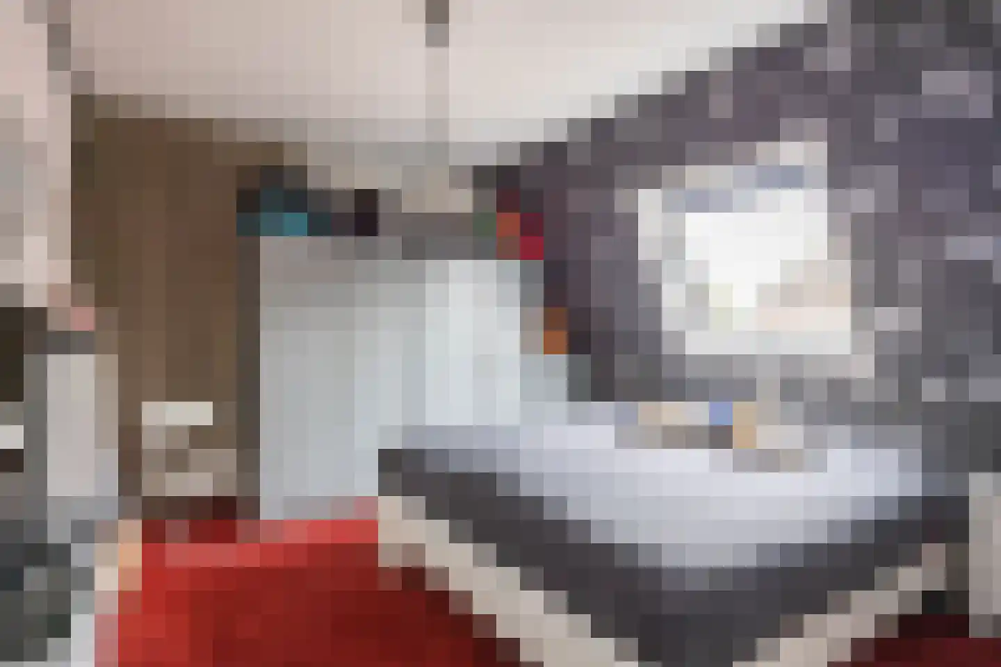 Heechein 12 Akkrum thumbnail 27