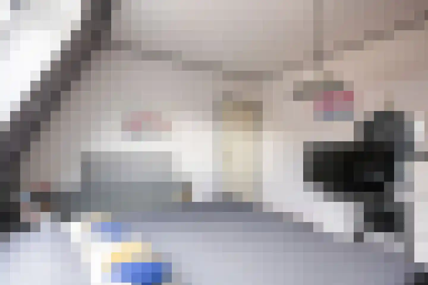 Heechein 12 Akkrum thumbnail 28